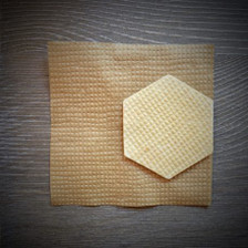 3D Parchment Woven Gator (6pc)