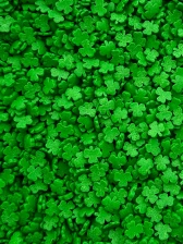 Shamrock Quinns ( 100 g )
