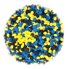 Congratulations Quinns Bulk ( 100 g )