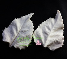 Sunflower Leaf Large Veiner Cutter 