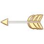 Gold Arrow Cupcake Layons (6 pc)