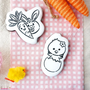 Baby Chick in Egg PYO Cookie Stencil