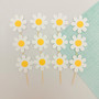 Daisy Toppers (12pc)