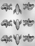Space Assorted Chocolate Mold