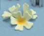 English Primrose Gumpaste Cutter Idea