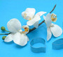 PME Moth Orchid Gumpaste Cutter Set 