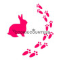 Bunny Prints Cookie Stencil 