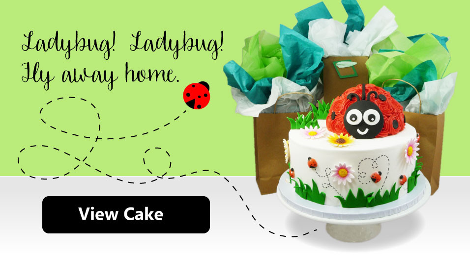 Lady Bug Cake – Nino's Bakery