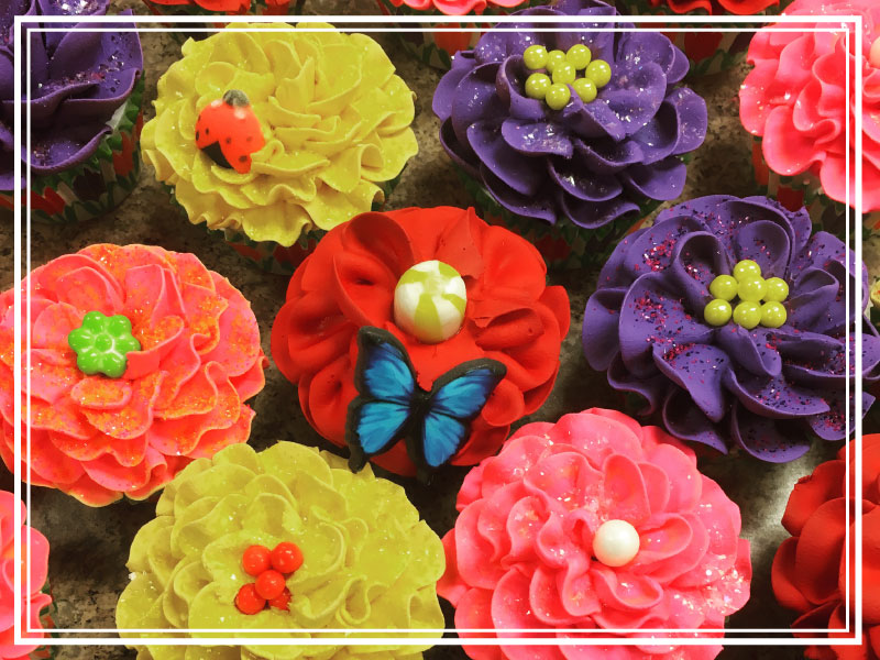 fun-spring-cupcakes-for-front-computer.jpg