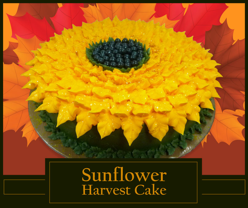 harvest-sunflower-cake.jpg