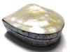 Seashell Keepsake Box Medium - Gold - Coastal Decor | #sur28005