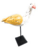 Seagull Bird 11" Wooden - Rustic Yellow Decorative Coastal Accent | #ort1705334y