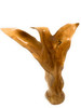 Elegant Carved Leaf on Stand 20" X 17" X 5" Teak Root - Centerpiece | #cin19c