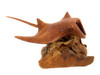 Manta Ray Carving 6" on Driftwood Base Hand Carved | #bgl04
