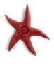 Starfish Candle Holder 9" - Rustic Coastal Red | #ata1801122r