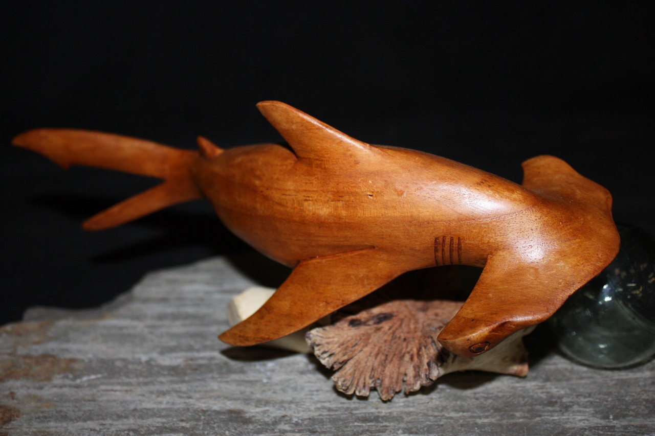 Hammerhead Shark on Driftwood Base 12