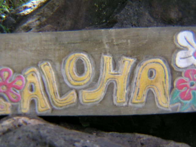 Rustic Aloha Sign 40