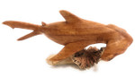 Hammerhead Shark on Driftwood Base 12" - Carved | #jro03A