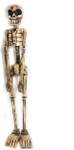 Skeleton Statue 40" Free Standing - Skull Decor | #kng21034100