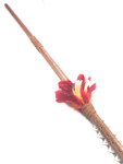 Hawaiian Koa Spear 60" w/ 16 Shark Teeth & Red-Yellow Feathers | #koa37f