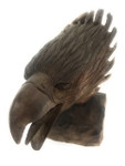 Exquisite Screaming Eagle Head 10" X 13" Hand Carved | #rta05