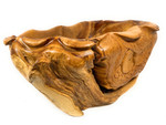 Unique Teak Root Bowl w/ Carved Owl 22" X 21" X 10" - Centerpiece | #cin04b