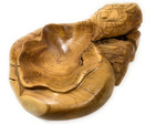 Unique Teak Root Bowl w/ Carved Turtle 19" X 16" X 8" - Centerpiece | #cin03c