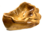 Unique Teak Root Bowl w/ Carved Chameleon 19" X 15" X 10" - Centerpiece | #cin05c