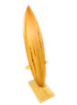 Classic Surfboard w/ Vertical Stand 12" - Trophy | #lea11v