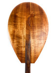 AAA Grade Curly Koa Outrigger Paddle 50 inch T-Handle - Made In Hawaii | #koaaaa002