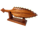 Koa Lei O Mano 21 in on Stand Tiger Teeth with Diamond Tip | #koa15954