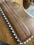 Premium AAA Curly Koa Pahoa Lei O Mano 31 inch 23 Large Tiger Shark Teeth | #koacust012