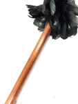 Premium Koa Spear 60 inch w/ 12 Shark Teeth & Black Feathers | #koa37h