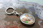 Keychain Seashell w/ Inlay Sea Life #2 - Aloha Keychain
