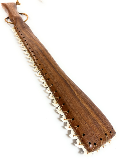 Premium AAA Curly Koa Pahoa Lei O Mano 31 inch 23 Large Tiger Shark Teeth | #koacust012