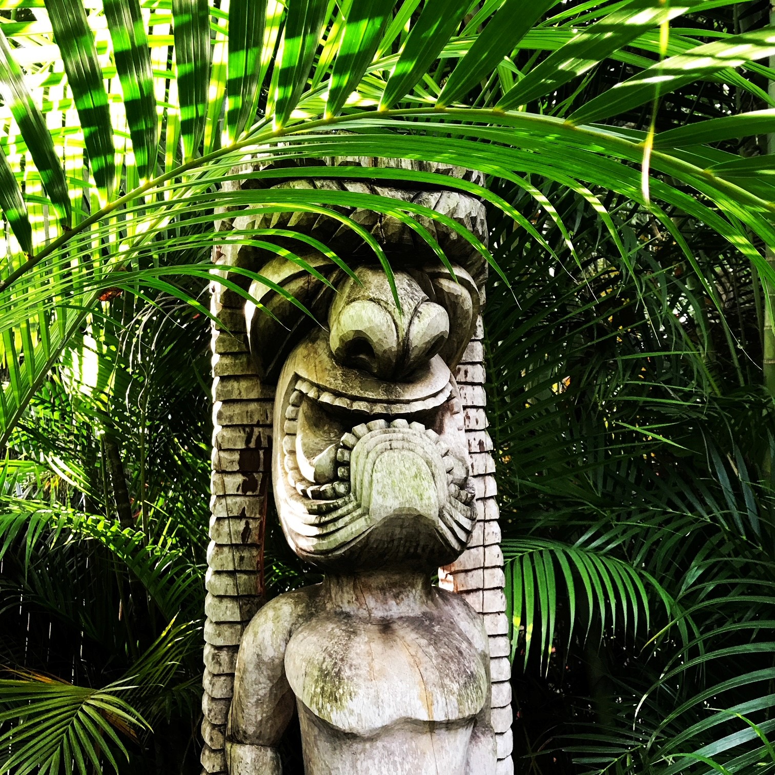 Enchanted World Of Hawaiian Tikis Enchanted World Of Hawaiian Tikis