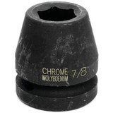 M745_12- Primary 