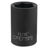 M805- Primary 