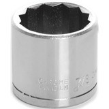 W38528- Primary 