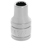 W32512- Primary 