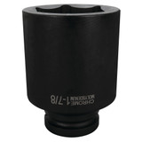 M1263- Primary 