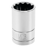 W32522- Primary 