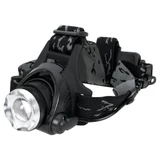560- Primary 