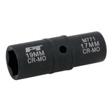 M771- Primary 
