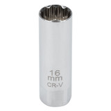 C28232- Primary 