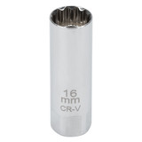 C28232- Primary 