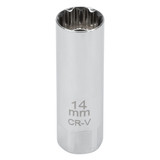 C28231- Primary 