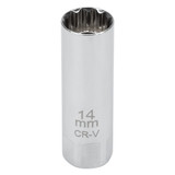 C28231- Primary 