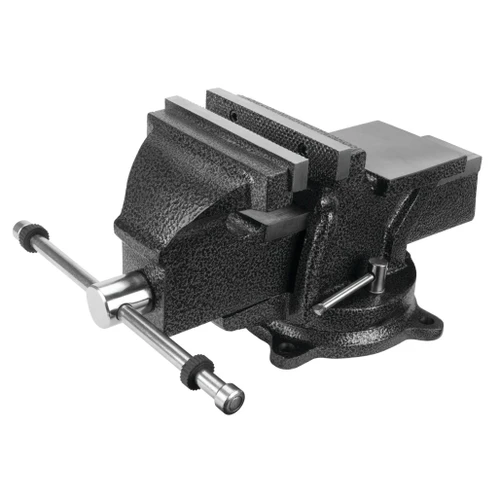 MV6- Primary 
