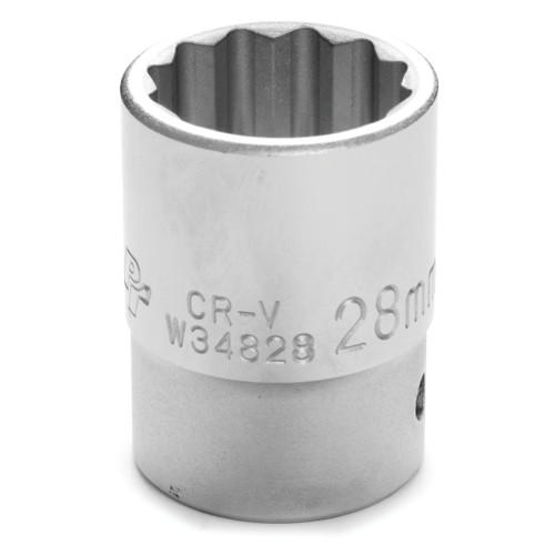 W34828- Primary  W34828- Primary